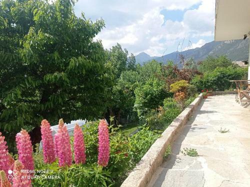 Apartamentos Rdc Villa Plein Sud Avec Vue Imprenable