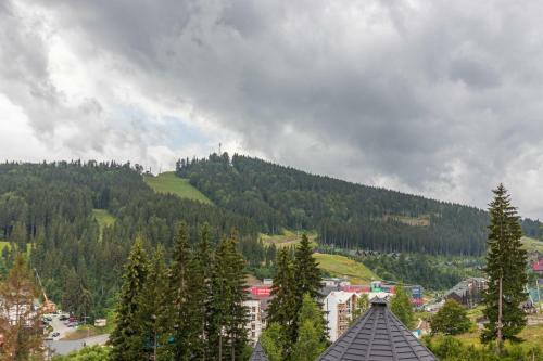 Hotel Pid Strihoju
