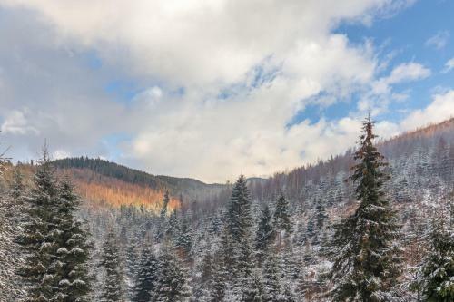 Hotel Konopka Forest Home
