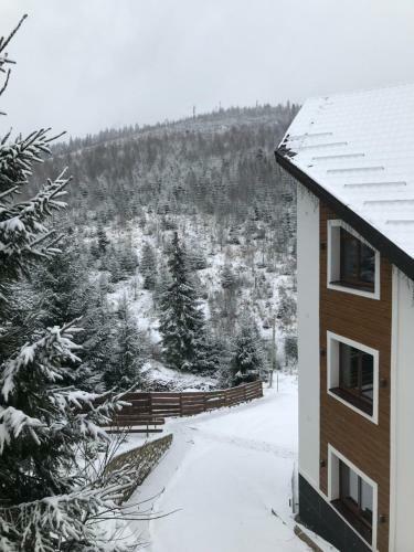 Hotel Konopka Forest Home