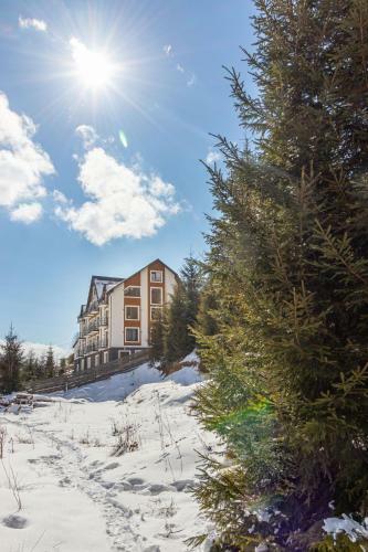 Hotel Konopka Forest Home