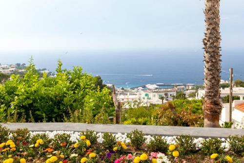 Apartamento Jj Capri