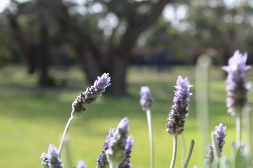 Illawong Lodge By The Sea