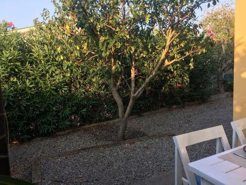 Apt. Calanchiole By Solturelba