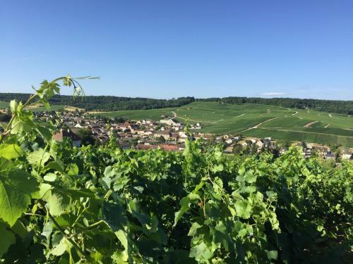 Bed & Breakfast Mille Et Une Bulles 51