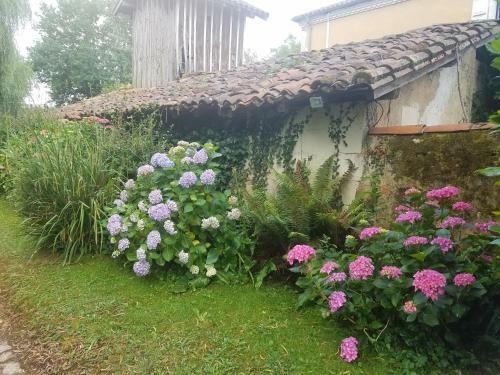 Apartamento Gite Matilon