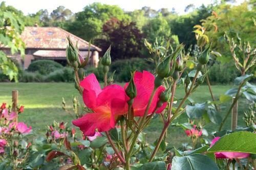 Bed & Breakfast Chambres D'h�tes � Pontonx