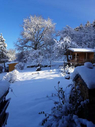 Bed & Breakfast Bim Cathele