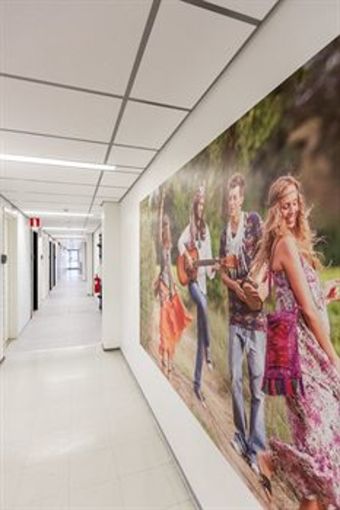 Albergue Forenom Koto