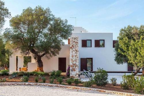 Villa Olive Oasis