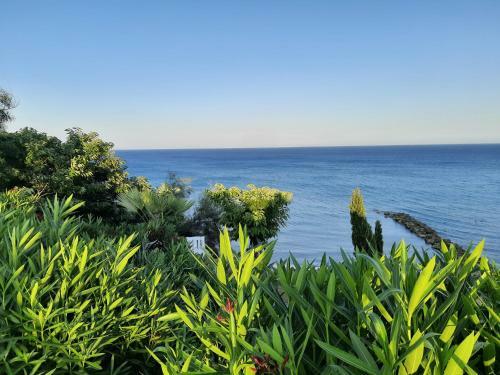 Villa Marinella