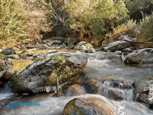 Rileys Run