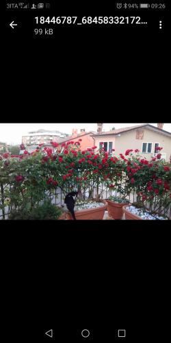 Apartamento Casamarin6