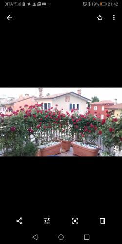 Apartamento Casamarin6