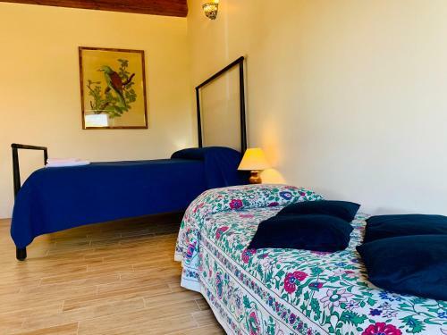 Agroturismo Olivandro