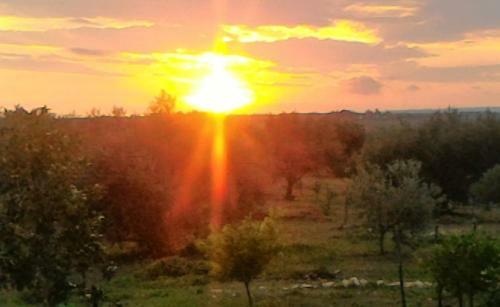Agroturismo Olivandro