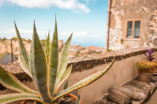 Bed & Breakfast Palazzo Pascale