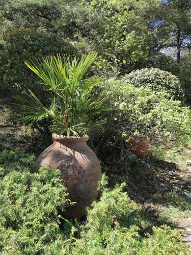 B&B En Provence