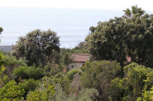 Casale Con Accesso Mare, Grande Giardino E Basket
