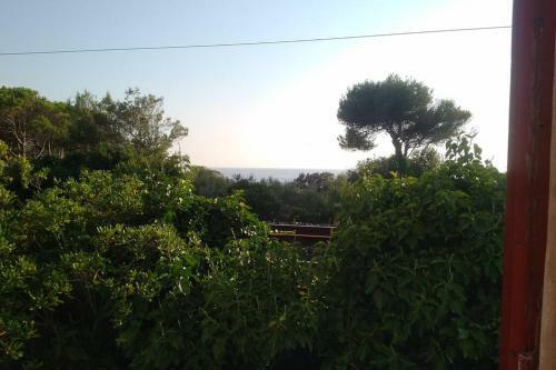 Casale Con Accesso Mare, Grande Giardino E Basket