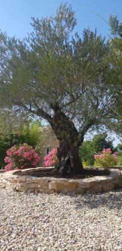 Hostal G�te Estello IV