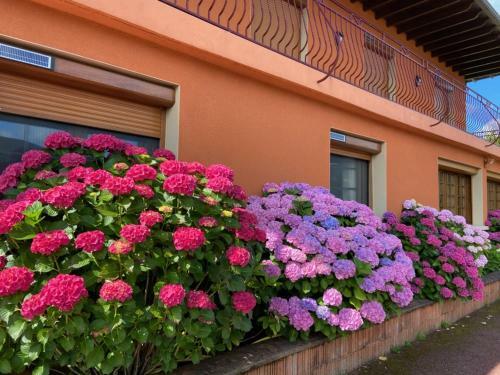 G�te, Suite D'hote de Charme