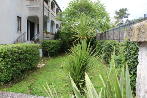 Libro Di Sogni - B&B Letterario