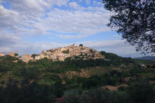 Casa Marta - Casa Vacanze In Casperia