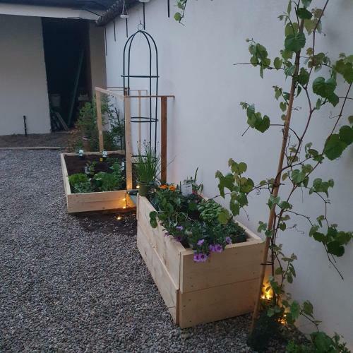 Hostal Malpensa - Independent Double Room & Bathroom