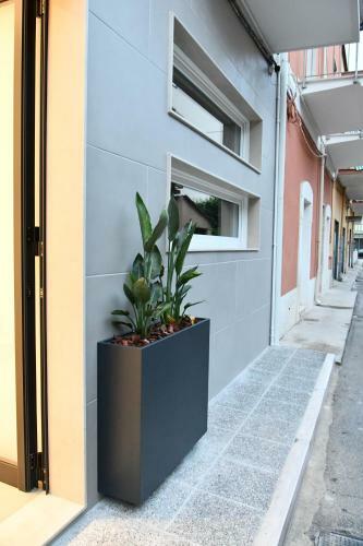 Hostal Nu House Rooms & Apartments