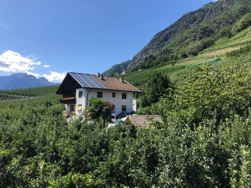 Apartamento Pixnerhof - Urlaub Am Biohof