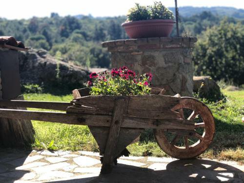 Podere Mazzarelle