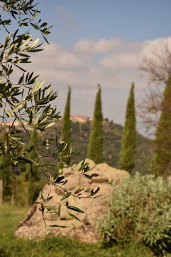 Podere Mazzarelle