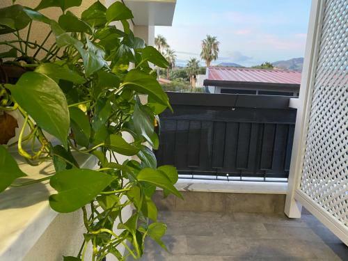 Hostal Solus B&B