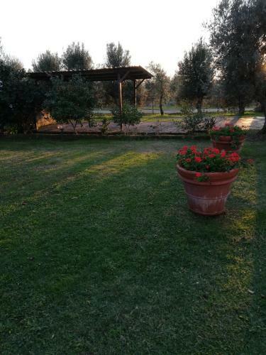 Villetta 3 Km Dal Mare