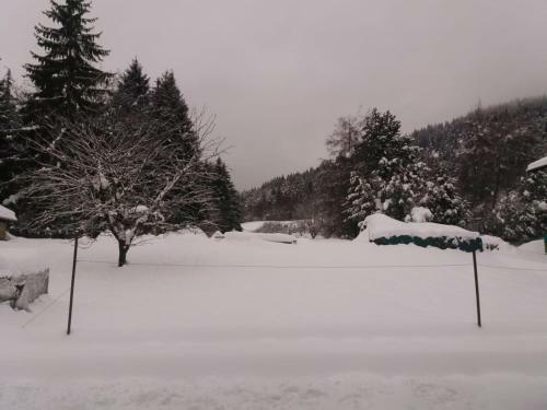 Apartamento Appartamento Cologna