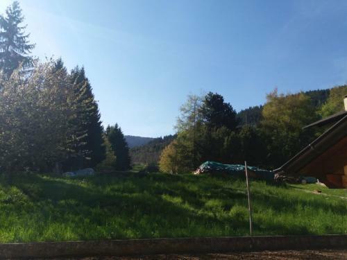Apartamento Appartamento Cologna