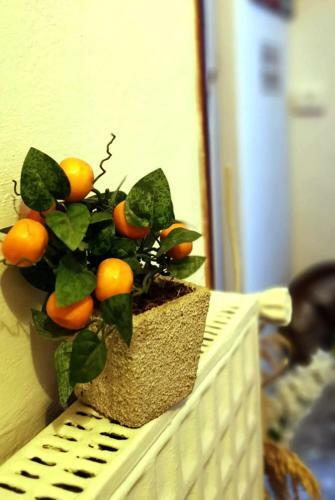 Hostal Le Stanze Di Ginevra Apartment