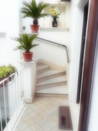 Hostal Affittacamere Silvagni