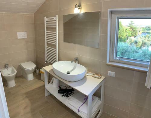 B&B Oliveto