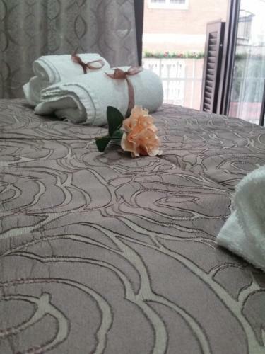 Royal Dreams B&B