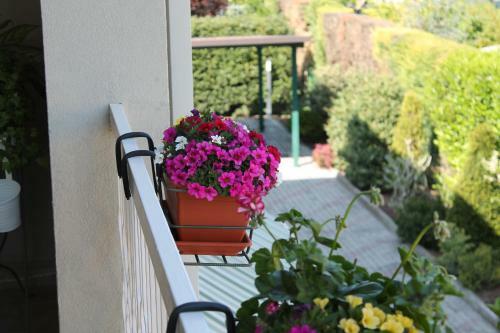 Apartamento A Casa Di Lory