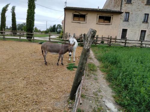 Agroturismo San Pietro Lt