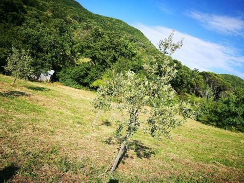 Apartamento La Casetta Di Ross