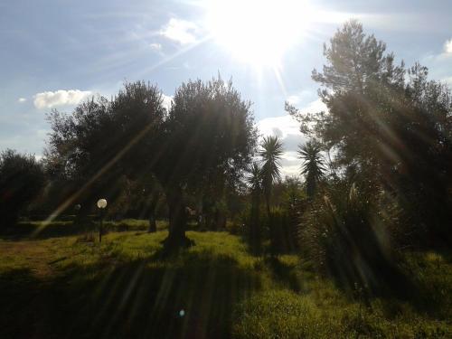 Agroturismo Masseria Dell'800