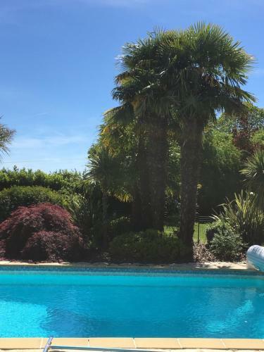 Bed & Breakfast Villa Pietra