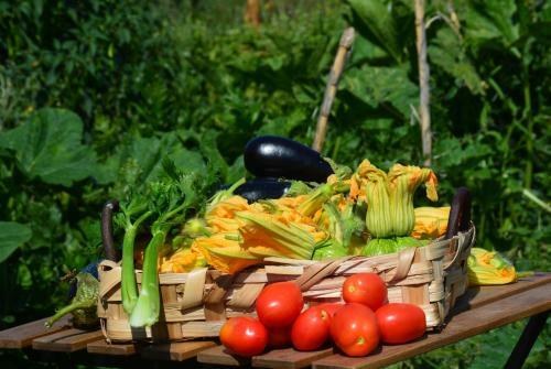 Agroturismo Casale Dionisia