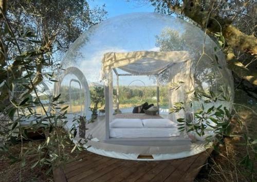 Bubble Room Suite