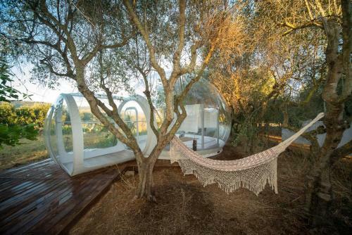 Bubble Room Suite