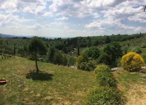 Salto Di Gatto